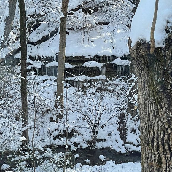 Meet your Posher, Clint - Picture 1 of 1